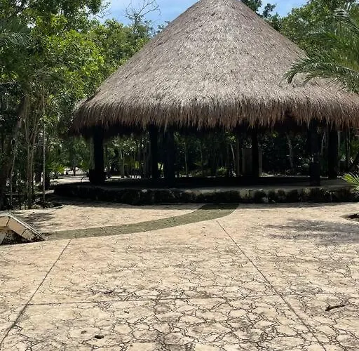 Apartamento Penthouse Cerca De La Playa